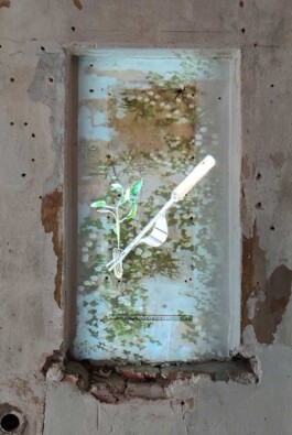 A weathered wall with a rectangular niche contains an artistic projection of a leafy plant and a trowel.